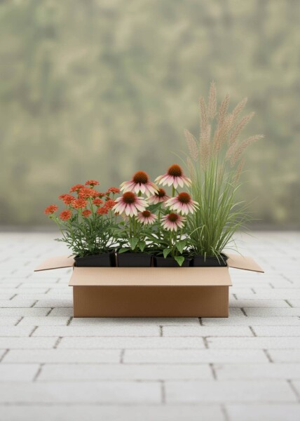 Spätsommerglanz Mix