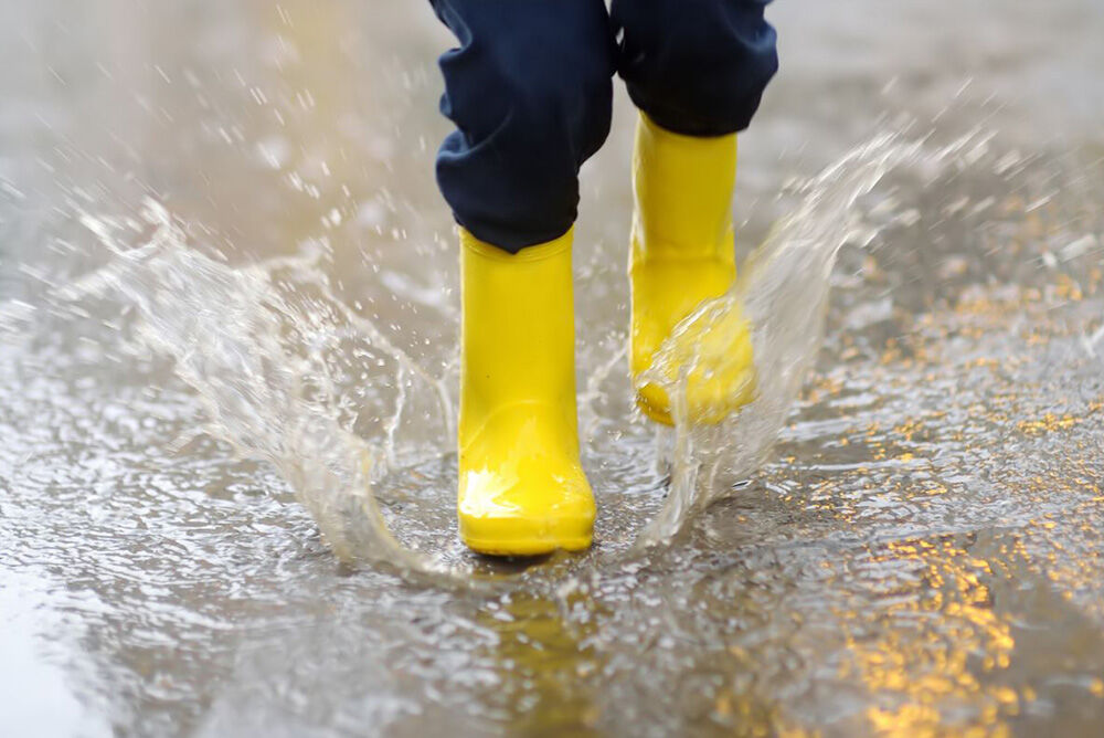 Begrenzen Sie Wasserschäden im Garten