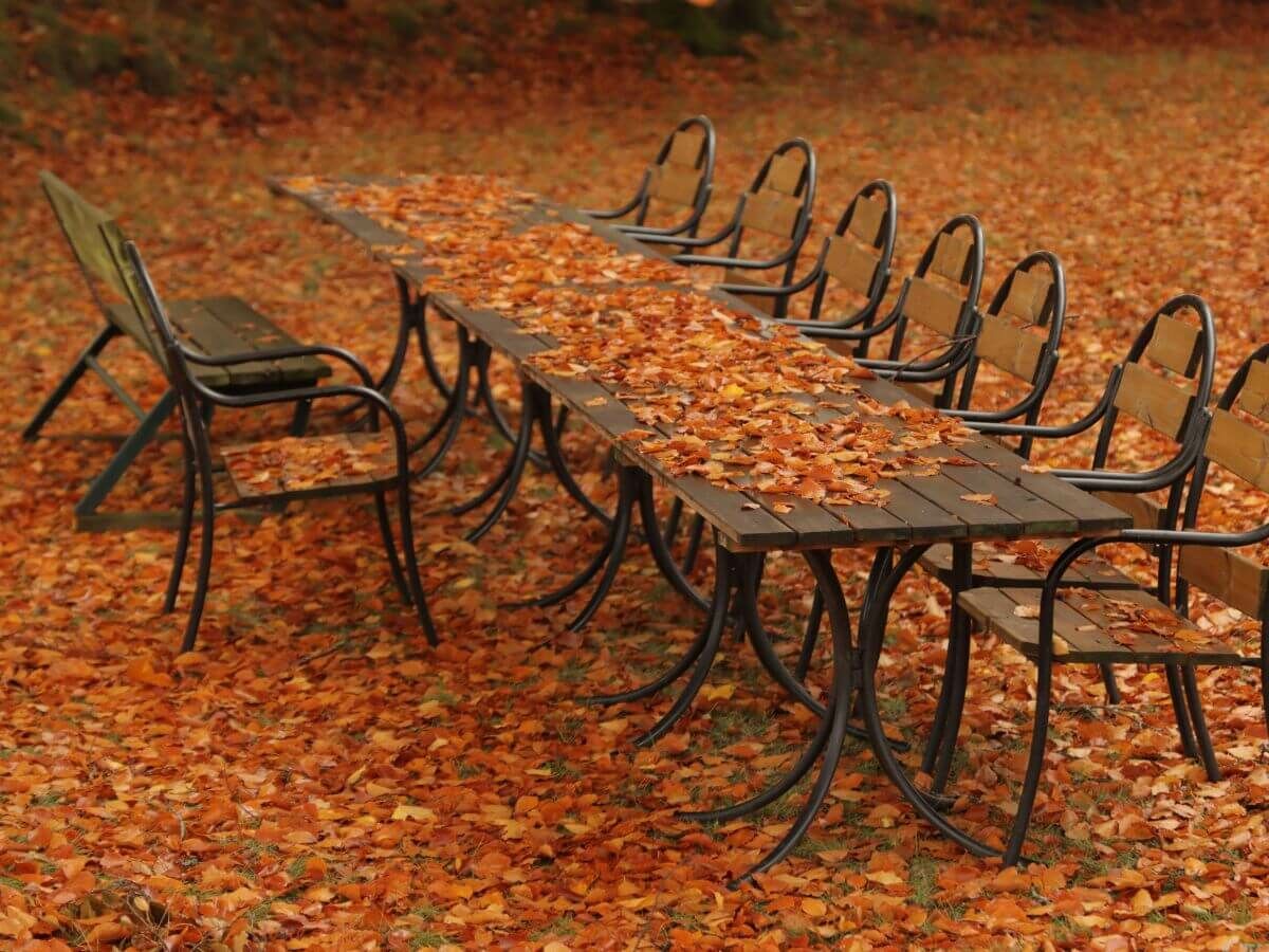 So nutzen Sie Herbstlaub clever als natürlichen Schutz für Ihren Garten image