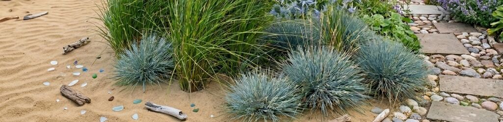 So gestalten Sie einen maritimen Garten image