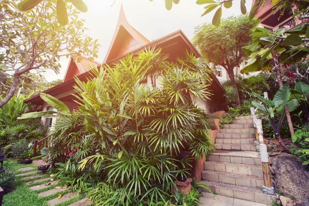 Verwandeln Sie Ihren Garten in ein tropisches Paradies