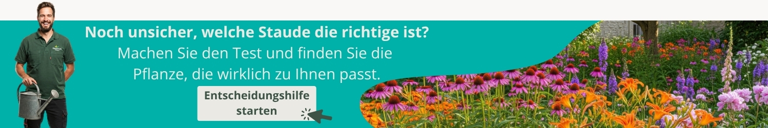 Entscheidungshilfe
