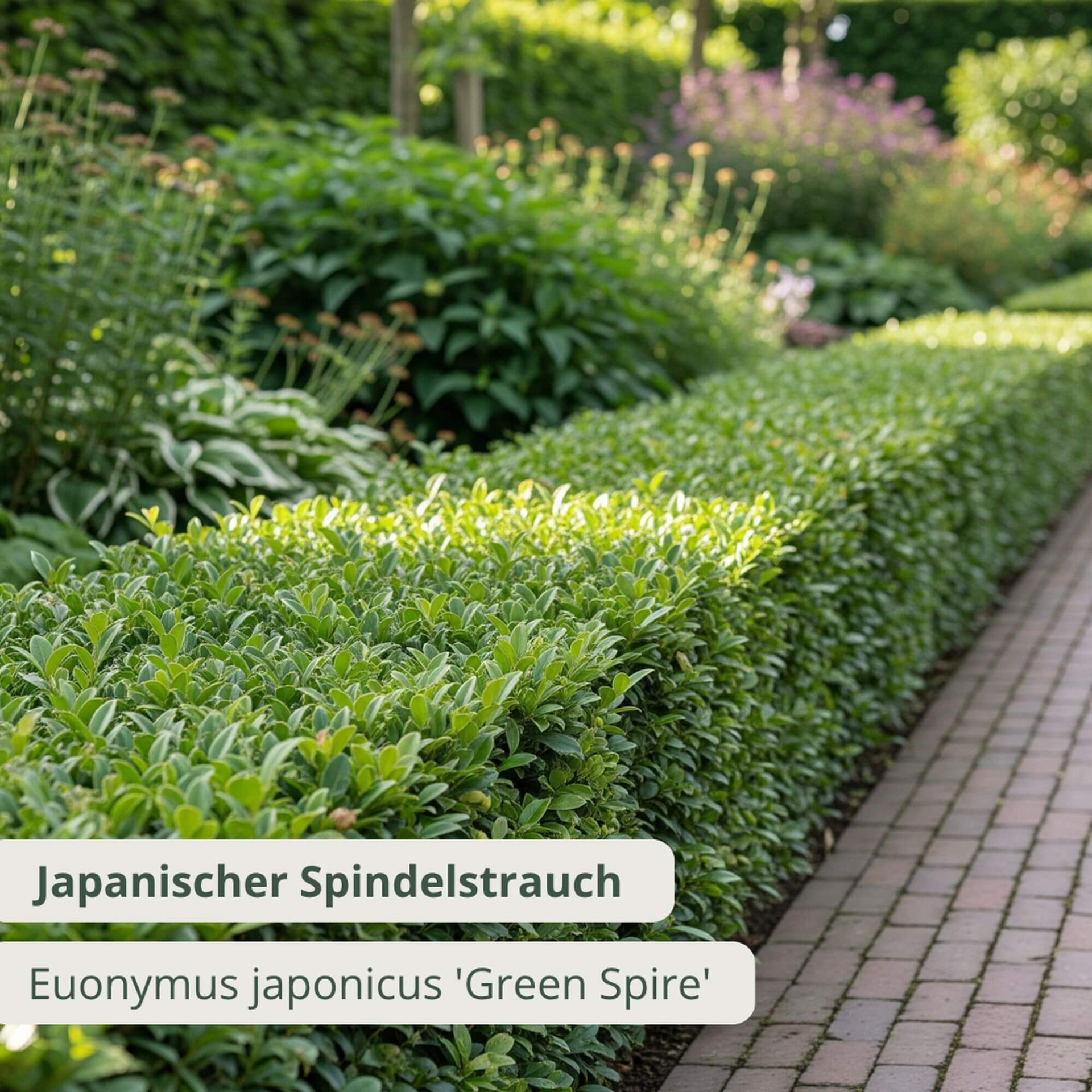 Green Spire